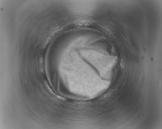 X0000053081396200508011954