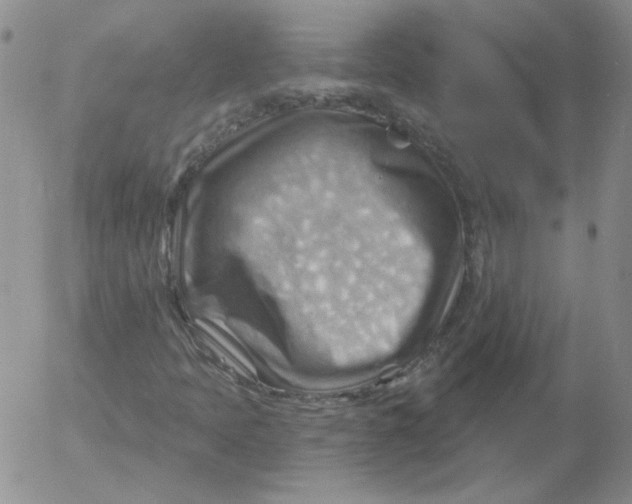 X0000053081397200508011954