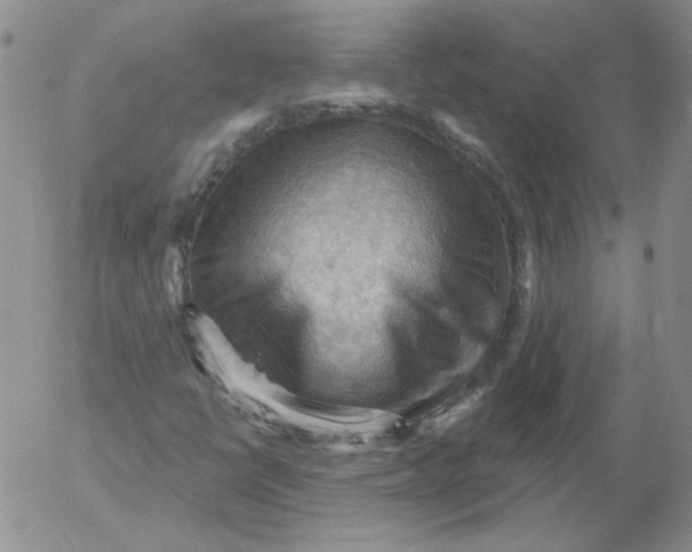 X0000053081398200508011954