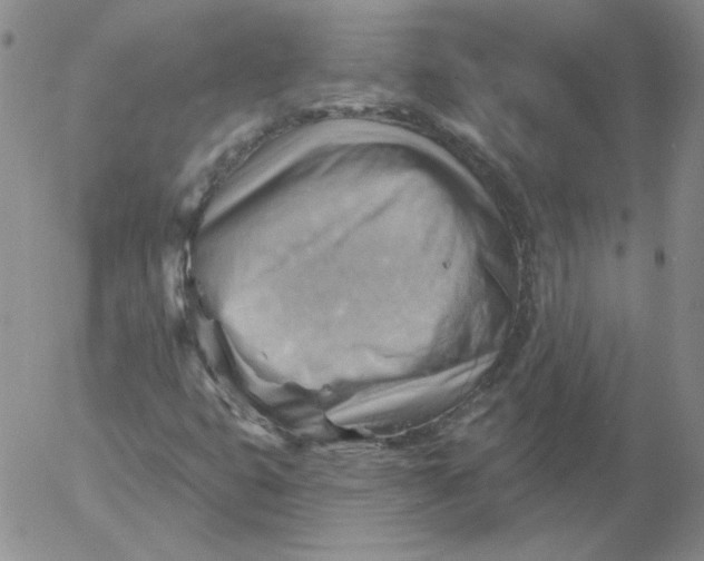 X0000053081399200508011954