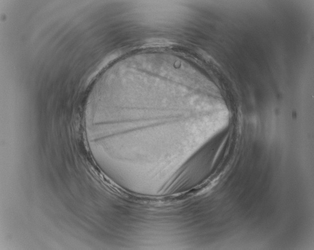 X0000053081401200508011954