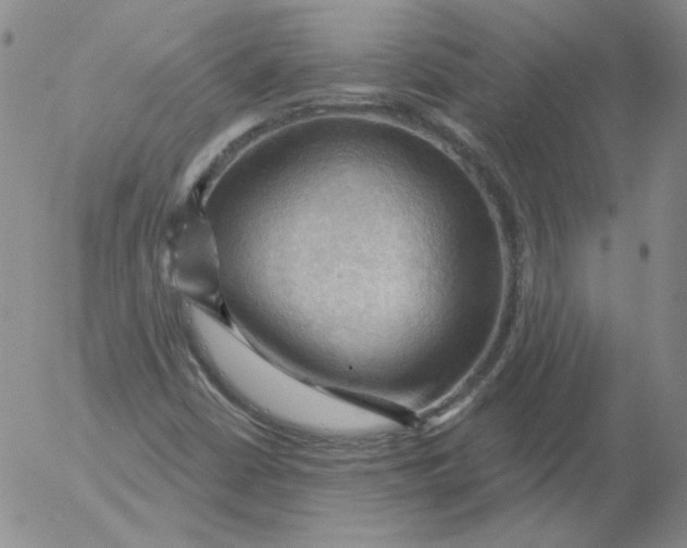 X0000053081402200508011954