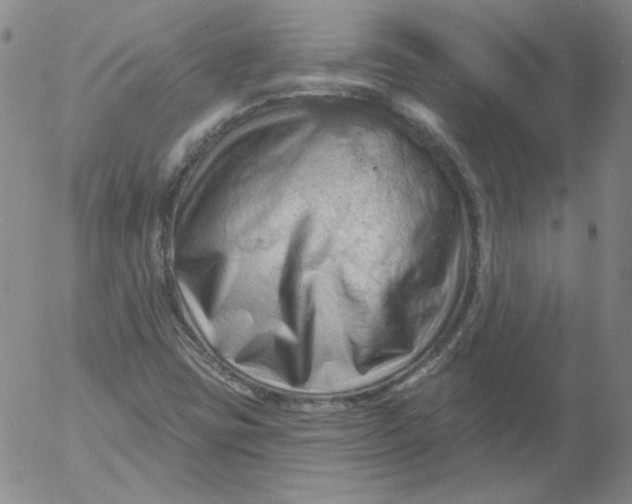 X0000053081403200508011954