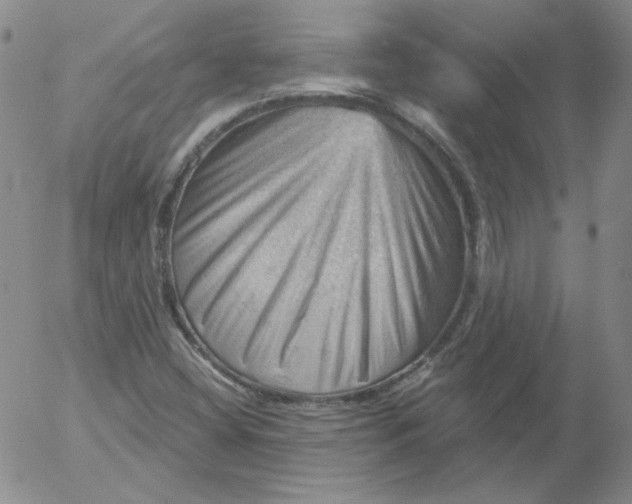 X0000053081404200508011954