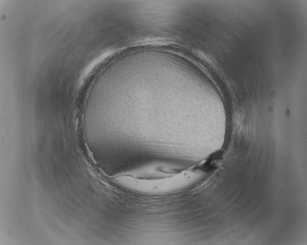 X0000053081406200508011954