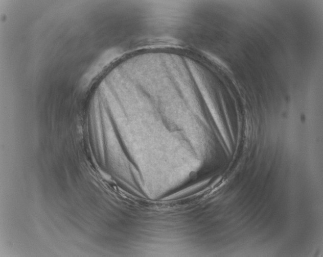 X0000053081407200508011954