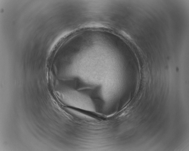 X0000053081408200508011954