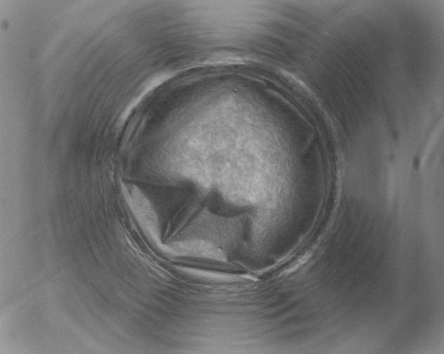 X0000053081409200508011954