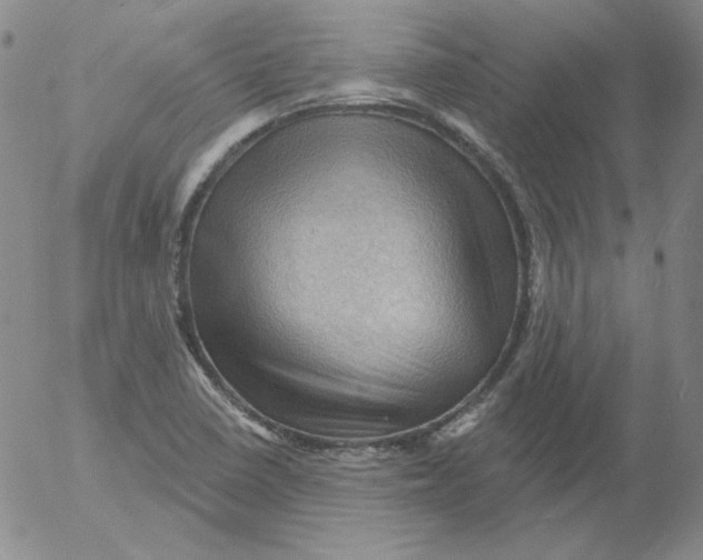 X0000053081410200508011954