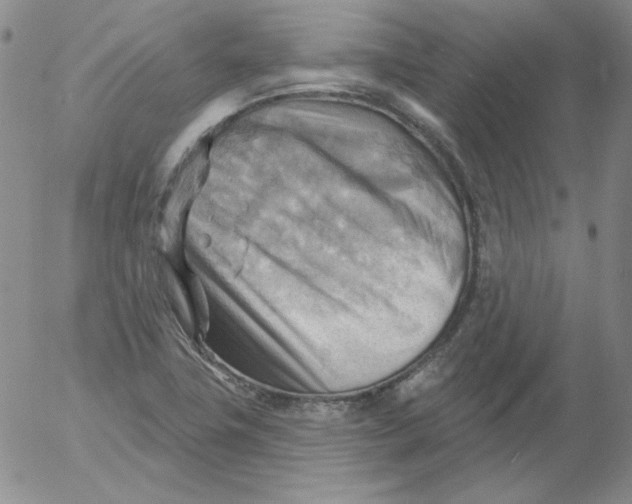 X0000053081411200508011954