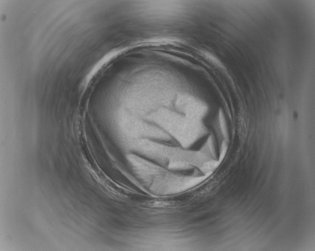 X0000053081412200508011954