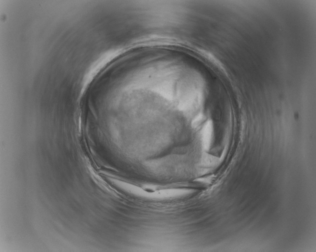 X0000053081413200508011954