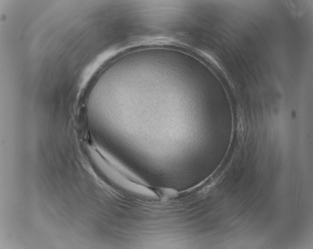 X0000053081414200508011954