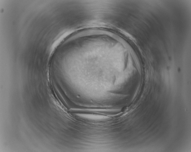 X0000053081415200508011954