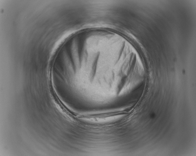 X0000053081416200508011954