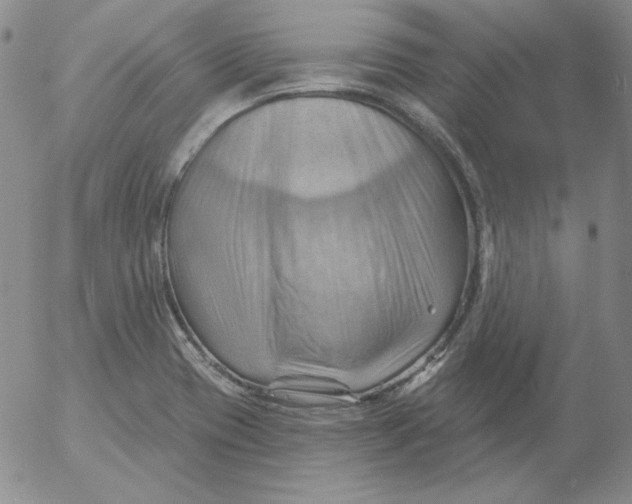 X0000053081417200508011954