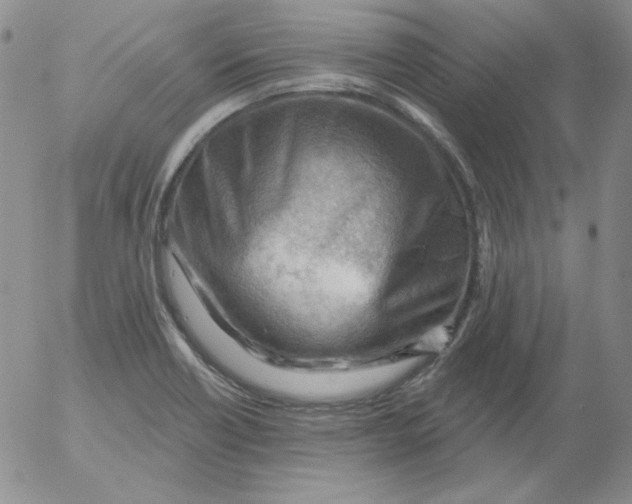 X0000053081418200508011954