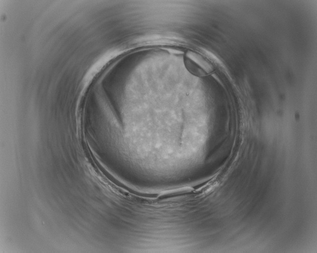 X0000053081419200508011954