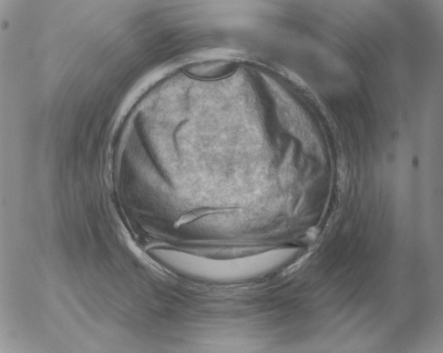 X0000053081421200508011954