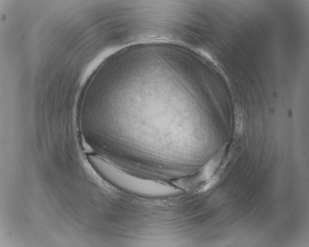 X0000053081422200508011954