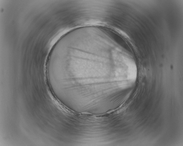 X0000053081423200508011954