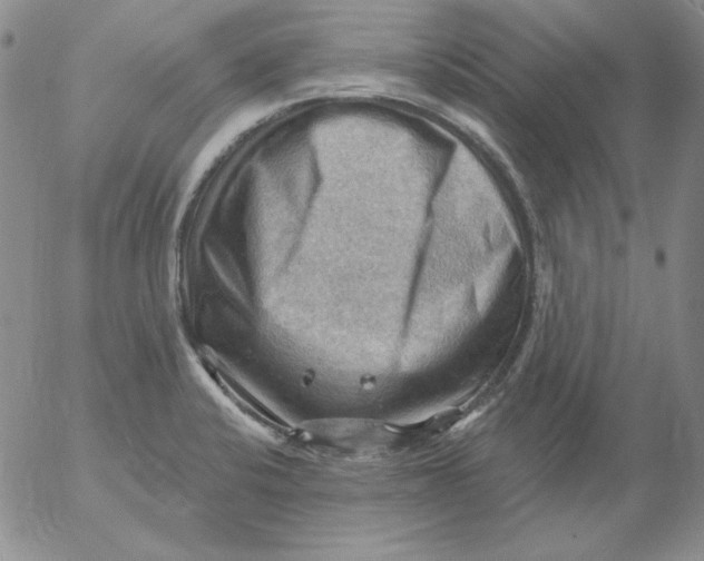 X0000053081424200508011954