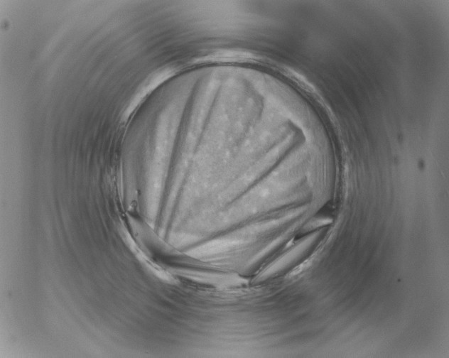 X0000053081425200508011954