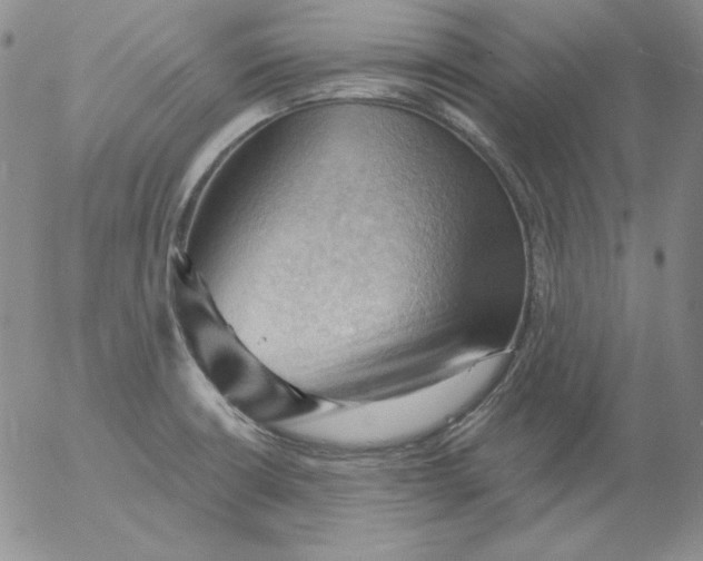 X0000053081426200508011954