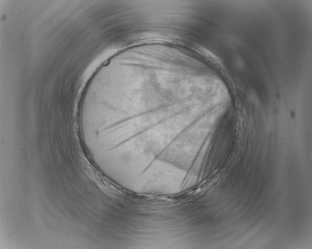 X0000053081427200508011954