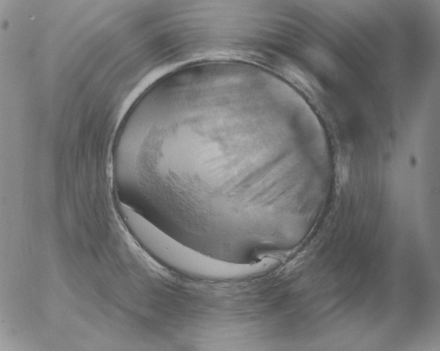 X0000053081428200508011954