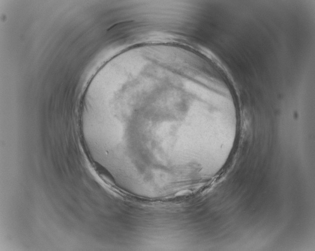 X0000053081429200508011954