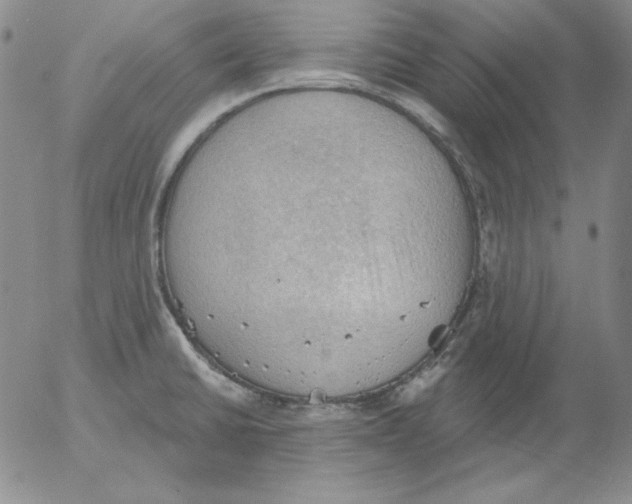 X0000053081430200508011954