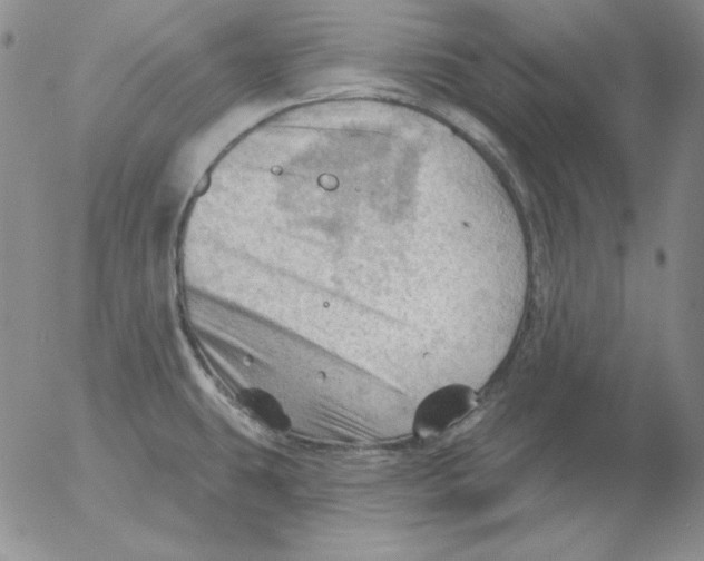 X0000053081431200508011954