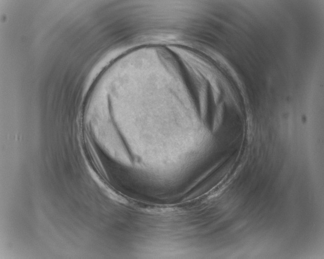 X0000053081432200508011954