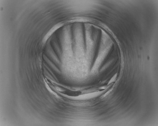 X0000053081433200508011954