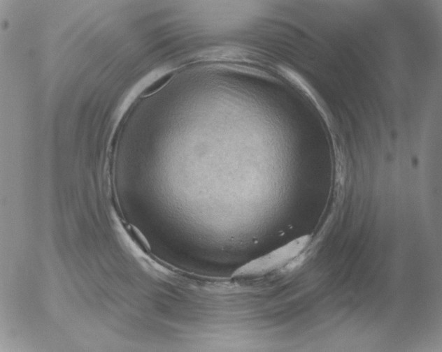 X0000053081434200508011954