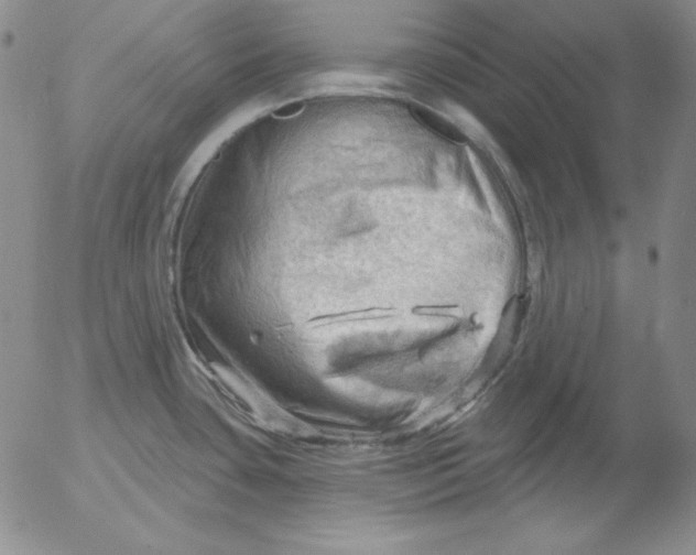 X0000053081435200508011954