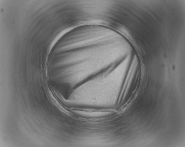 X0000053081436200508011954