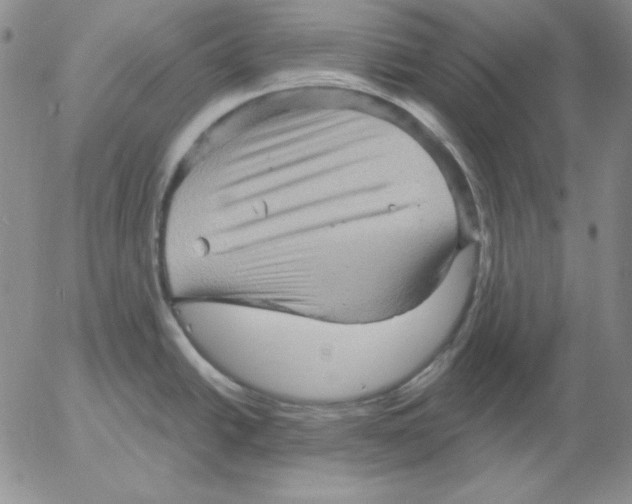 X0000053081438200508011954