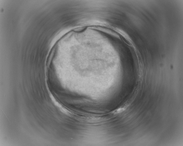 X0000053081439200508011954