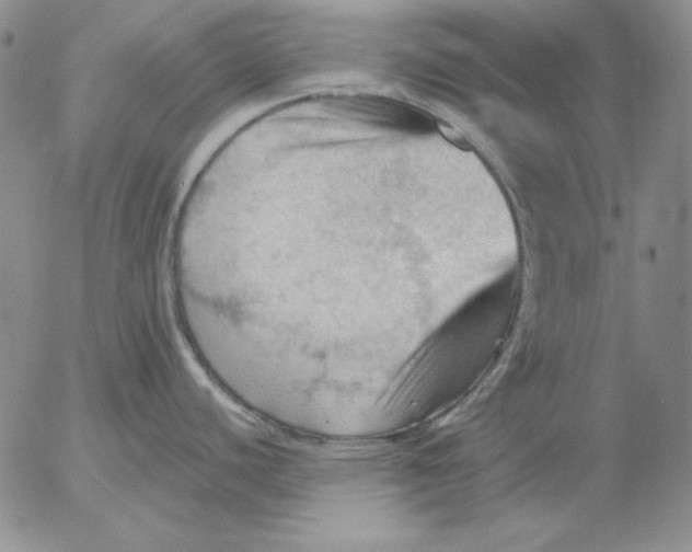 X0000053081440200508011954