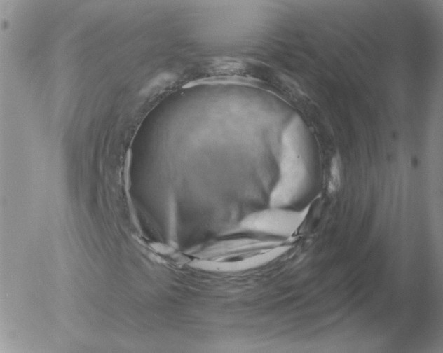 X0000053081441200508011954