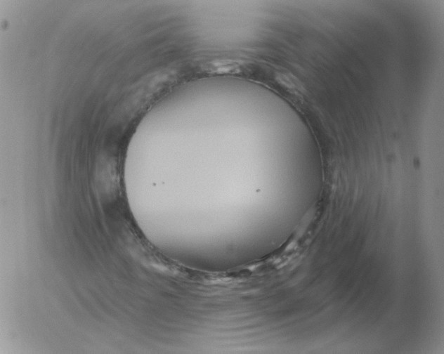 X0000053081442200508011954