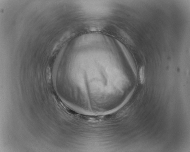 X0000053081443200508011954