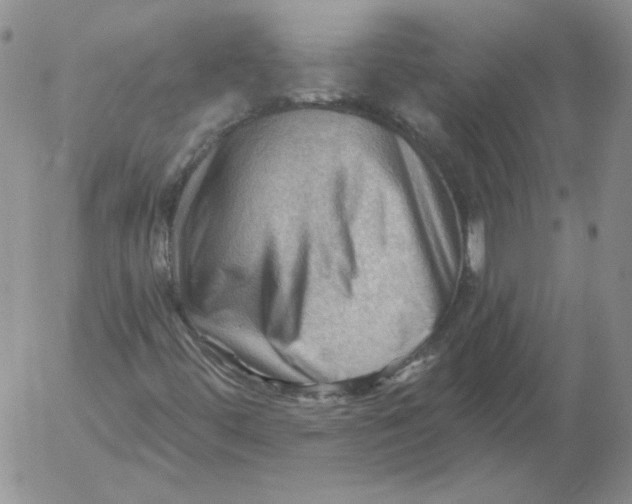 X0000053081444200508011954