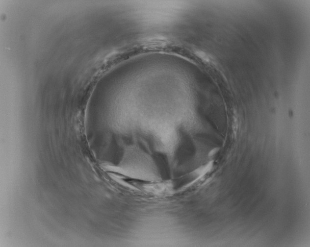 X0000053081445200508011954