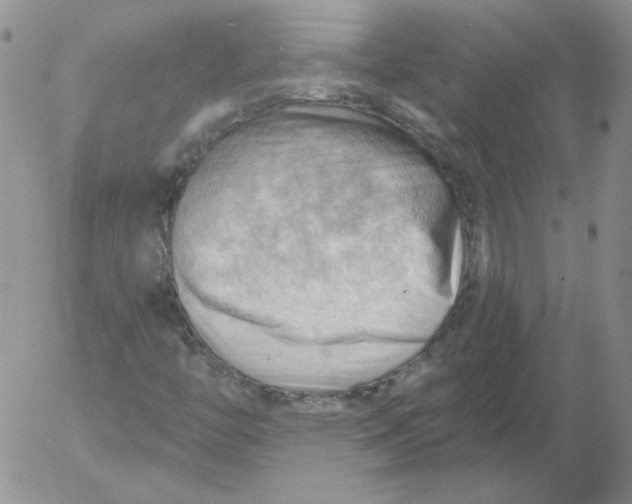 X0000053081446200508011954