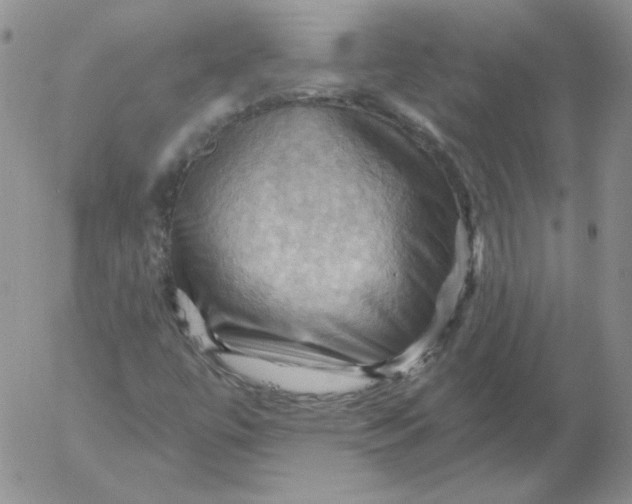 X0000053081447200508011954