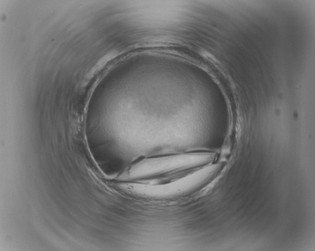 X0000053081449200508011954