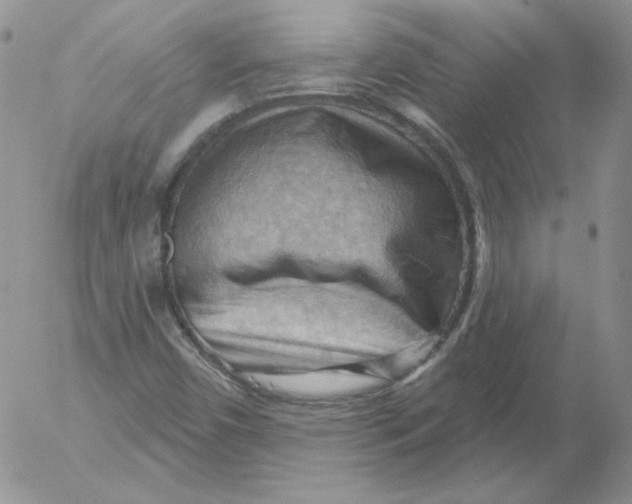 X0000053081450200508011954